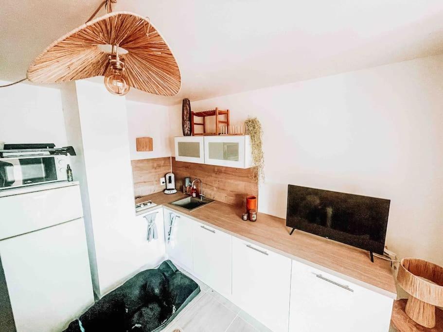 La Casita ,Appartement Face A L'Etang Ле Баркарес Экстерьер фото